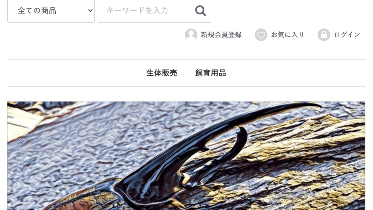 ヘラクレスオオカブトの信頼できる販売先[まとめ]｜ムシペディア