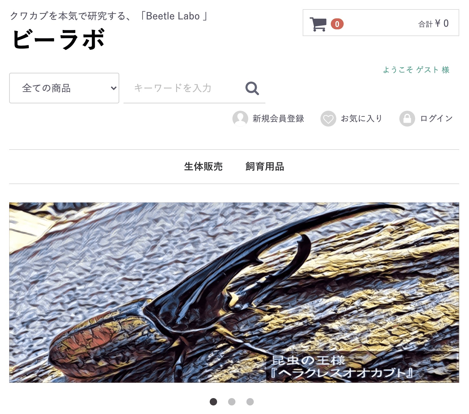 ヘラクレスオオカブト　まとめ売り！！ C76002 ヘラクレスオオカブト (ヘラクレスヘラクレス) 成虫ペア オス